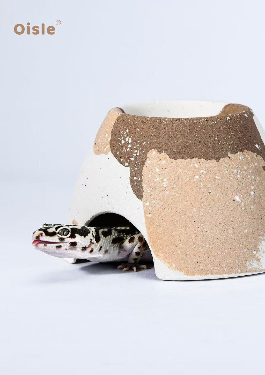 Oisle Eco-Friendly Ceramic Shelter, Breathable Shelter for Geckos & Snakes