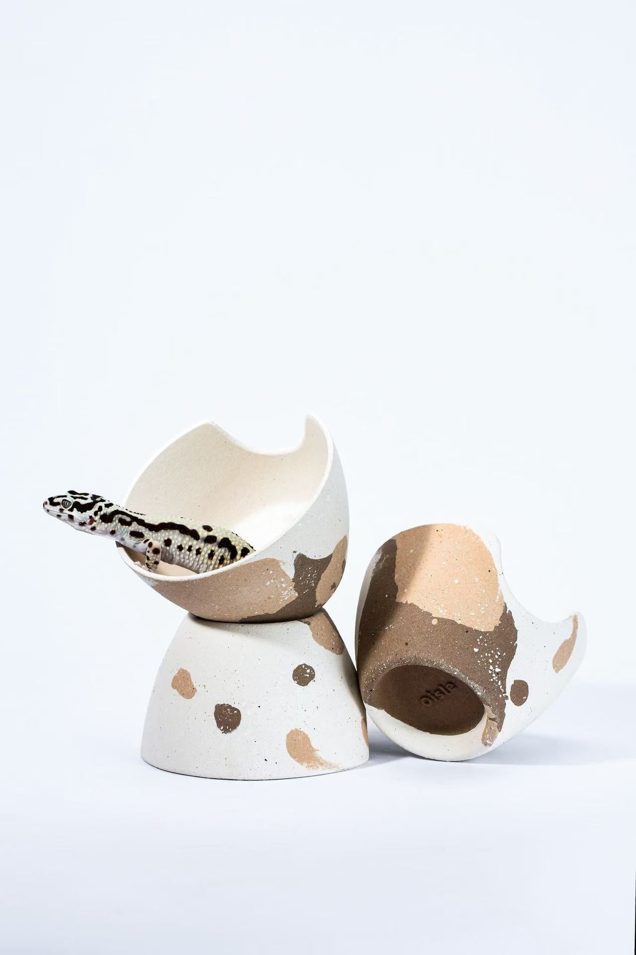 Oisle Eco-Friendly Ceramic Shelter, Breathable Shelter for Geckos & Snakes