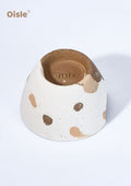 Oisle Eco-Friendly Ceramic Shelter, Breathable Shelter for Geckos & Snakes